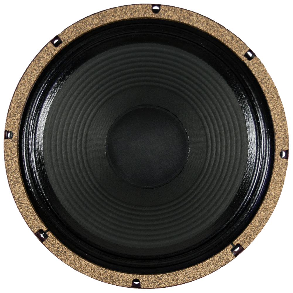 WGS 12" BlackHawk HP Alnico | 100 Watts | Warehouse Guitar Speakers