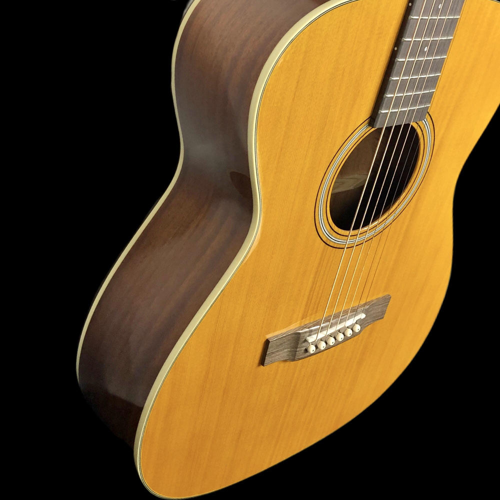 Tanglewood TW40 DANE  - Showroom Demo