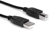 HOSA USB-210AB High Speed USB Cable TYPE A TO TYPE B, 10-FEET