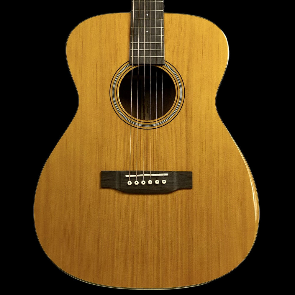 Tanglewood TW40 DANE  - Showroom Demo