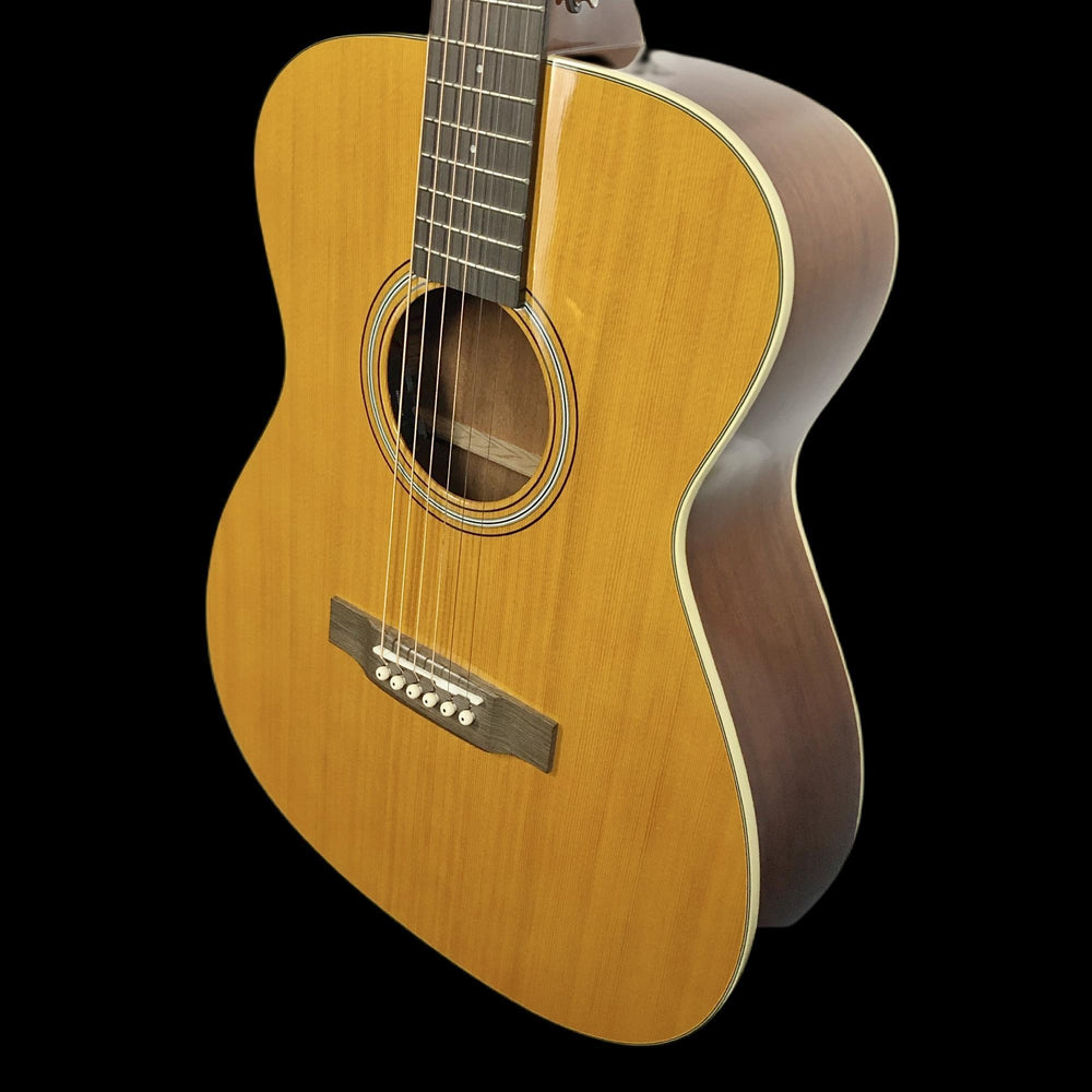 Tanglewood TW40 DANE  - Showroom Demo