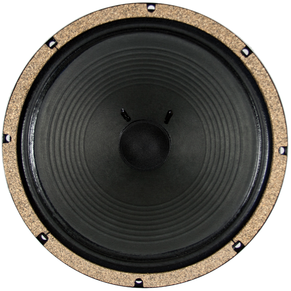 WGS 12" Black & Blue Alnico - 15 Watts - British Audio