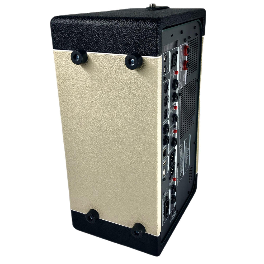 Custom Headshell for Kemper Profiler Toaster | Black & Blonde